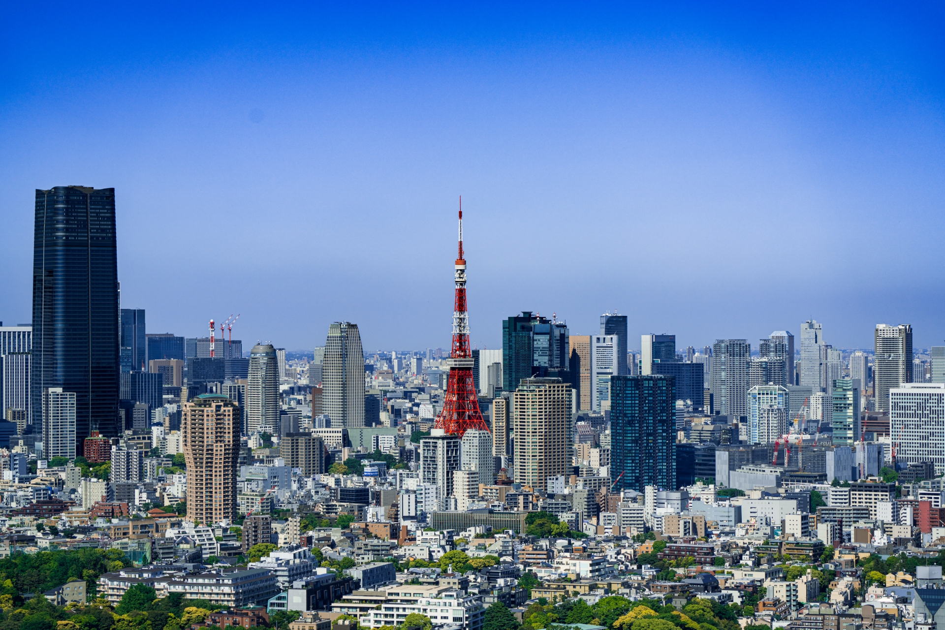 お問い合わせ・無料相談のご案内